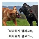 기니앤살롱 | [뮤직펍창업일기] Episode 19. 리스닝파티를 벌이는 이유