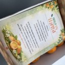 아이캔 하이 태권도장 이미지