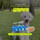 금빛약국 이미지