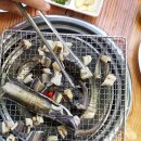 진동돌장어 이미지