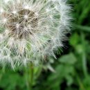 한울안중학교 이미지