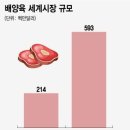 ■ 급부상하고 있는 대체육 시장의 현재와 미래 이미지