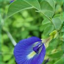 도시농업으로 힐링하기 이미지