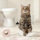 농업회사법인 바이오릭스(주) 이미지