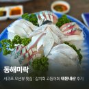 미락회식당 | 서귀포 횟집 동해미락 내돈내산 갈치회 고등어회 솔직후기