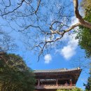 경희농원 | 12월 첫째주