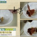 육식주