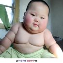 중국 아기, 태어난지 8개월인데.. 무려 19kg이라고? 이미지