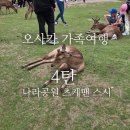 스시나라 | [오사카 가족여행]29주 임산부 오사카 가족여행 4탄_오사카 나라 사슴공원 방문 후기_츠케맨, 스시