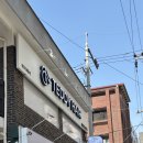 신림 테디헤어 테디원장님 나노힐 클리닉 솔직후기 신림역 미용실