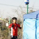 광장초등학교 이미지