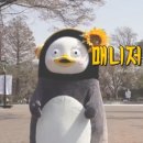 스테이 대치 이미지