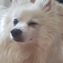 해뜰동물병원 이미지