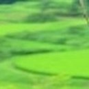 차사랑카포스 이미지