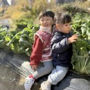 예능어린이집 이미지