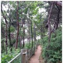 개미낚시터 이미지