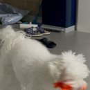 아낌없이주는나무 이미지