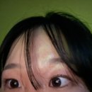 푸파501 이미지