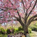 숲교육 첫시간🌳 이미지