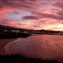 쥬쥬클럽 이미지