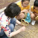 양보초등학교 이미지