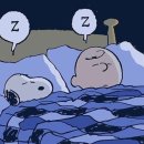 (주)코코 이미지