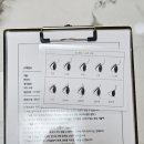 엘제이뷰티