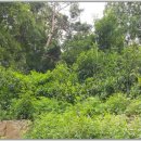 남구-096 이미지