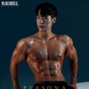 페르소나PT