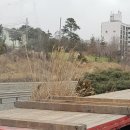 혜성주유소 Daum카페