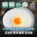 진솔할인마트 | 구쁘 유정란 옹알옹알 솔직 후기 우리 가족 안심하고 먹어요