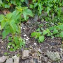 고흥사랑민박 이미지