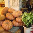 산아래쉼터 이미지