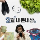 세희농장 | 2월에 뭘 그리 또 많이 샀나.. 맥시멀리스트 네버다이