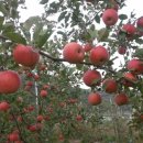 한전카센타 이미지