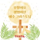 텃밭2 이미지