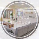 의료법인 다올의료재단 이미지