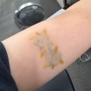 연세스타피부과의원 이미지