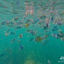 한국1차 그랜드 쇼핑 앞 | 베트남 푸꾸옥 자유여행 일정 호핑투어 포함 코스