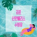 신안웰리스