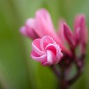 갤러리아B 이미지