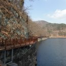 장성호 수변길 이미지