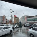 오월당 | 김포 애견동반 대형카페 오월당ㅣ재방문 후기, 주차, 메뉴