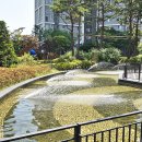 모아114공인중개사사무소 이미지