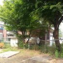 적금노인정 앞 이미지