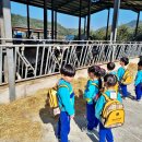 정동목장 이미지