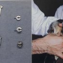 전동물병원 이미지