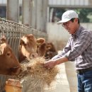 설성농장 이미지