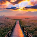 순천시청(민원실) 이미지