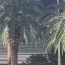 한라산 백록담(1950)m 이미지